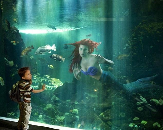 美人鱼被困于水族馆供游客观赏